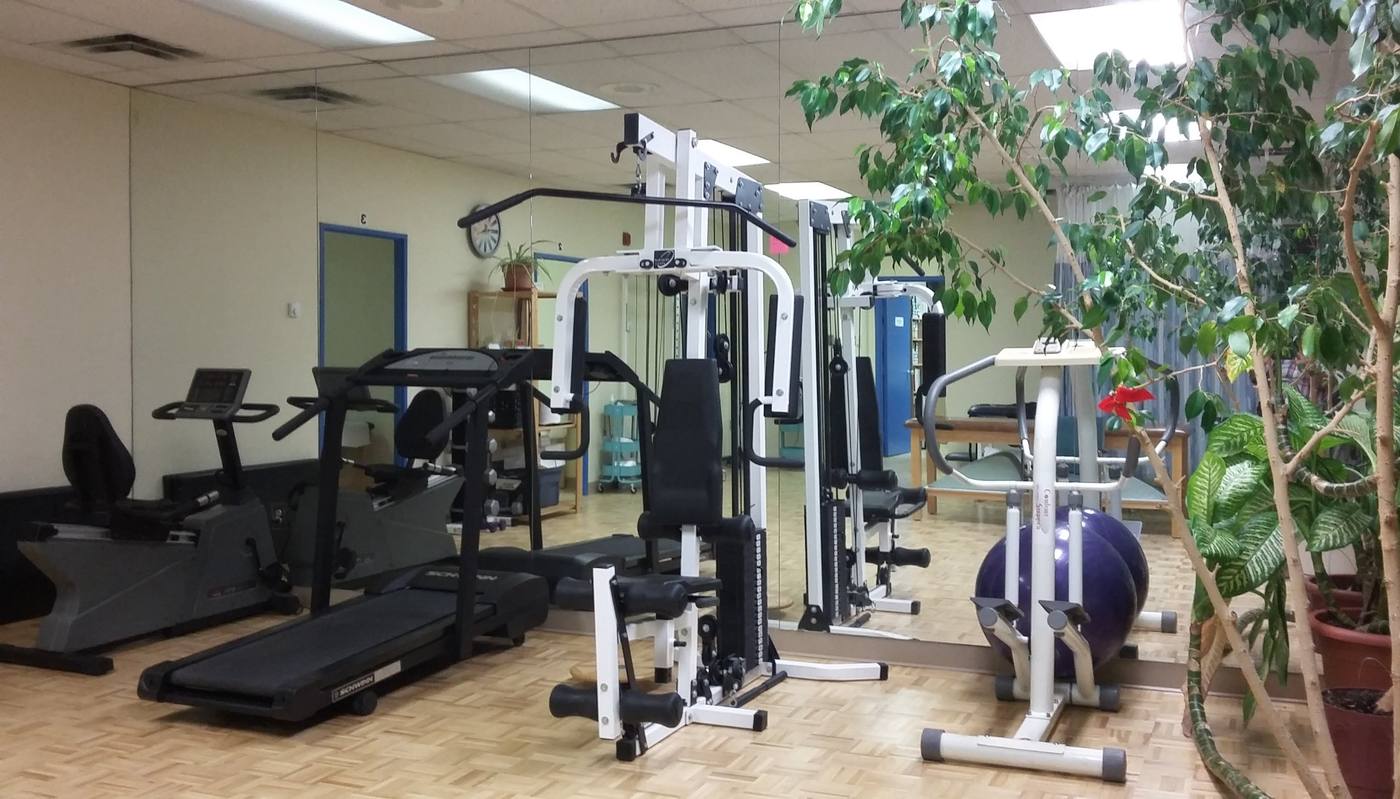 Exercise area at Ortho-Physio with treadmill, bikes, weight machine and indoor plants